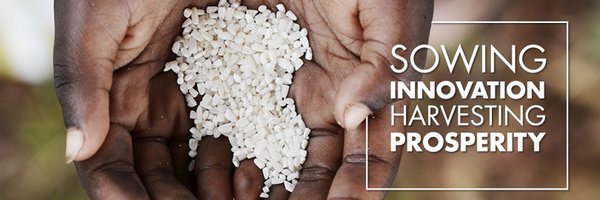 mhailu Profile Banner