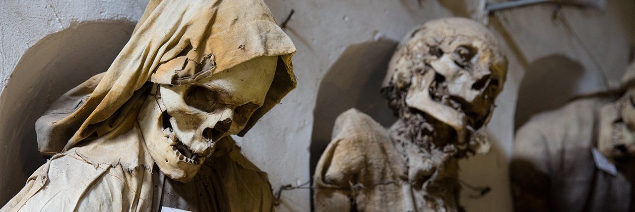 Дмитрий Пучков banner