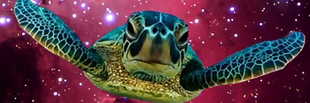 sbreen760's profile banner image