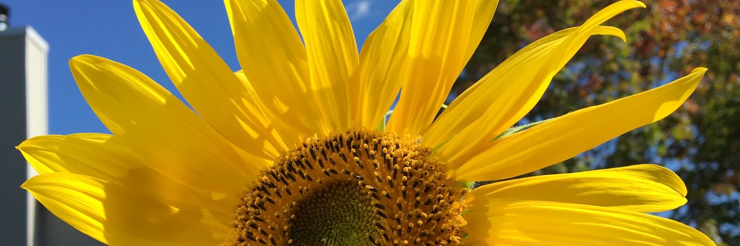 melissa_tup's profile banner image