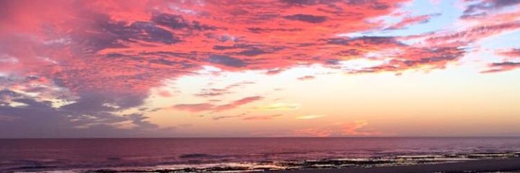 MazzaDanielle1's profile banner image