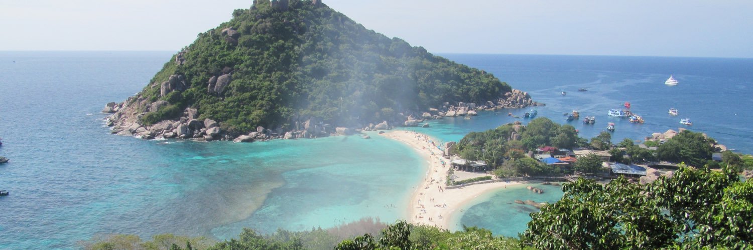 cute but Loco banner