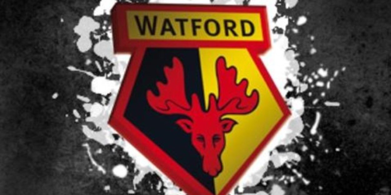 Warrenhornet's profile banner image