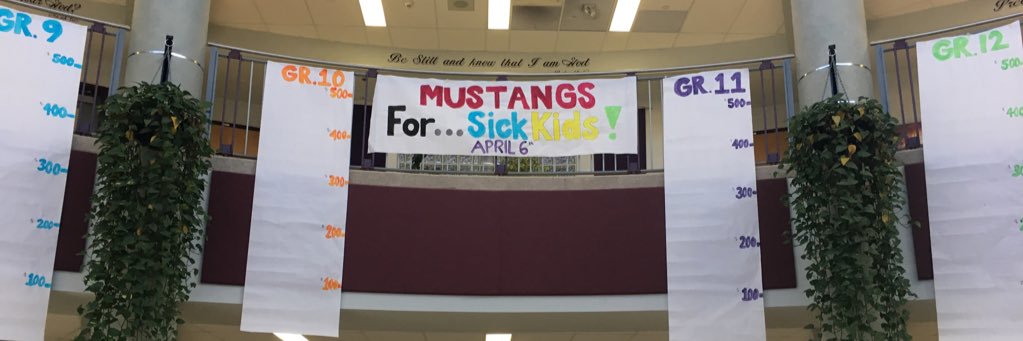 stmmustangs's profile banner image