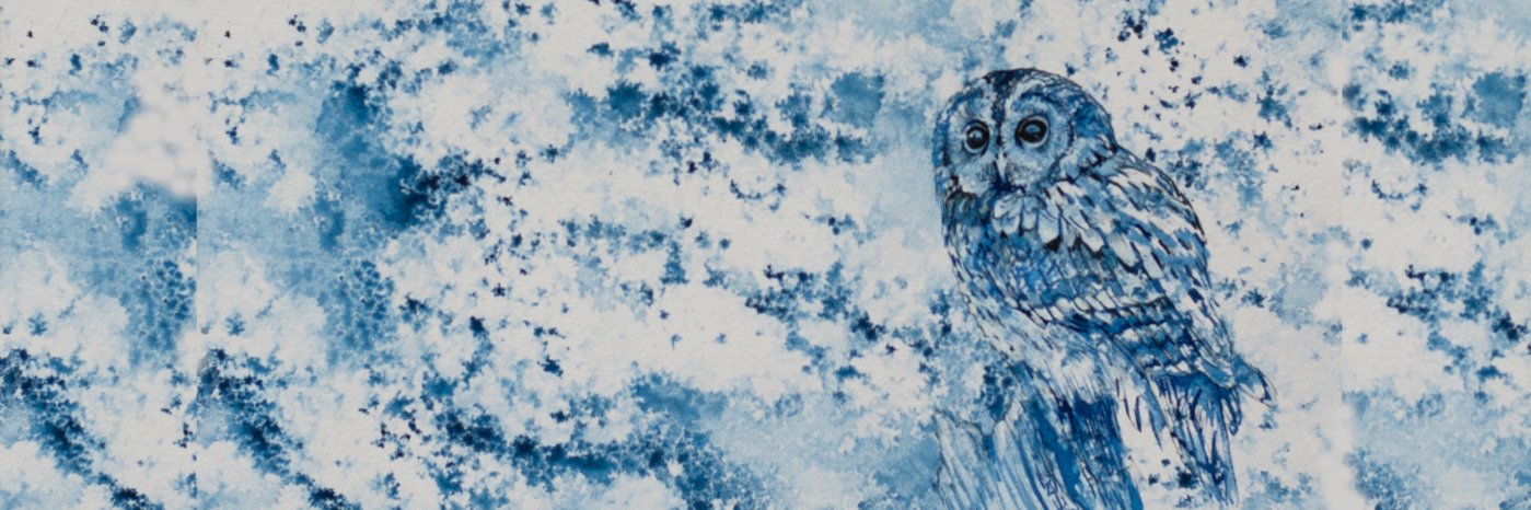 Hannah1Bruce's profile banner image