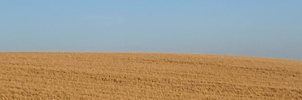grazyarse Profile Banner