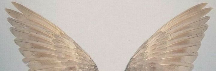 httpsdiva's profile banner image