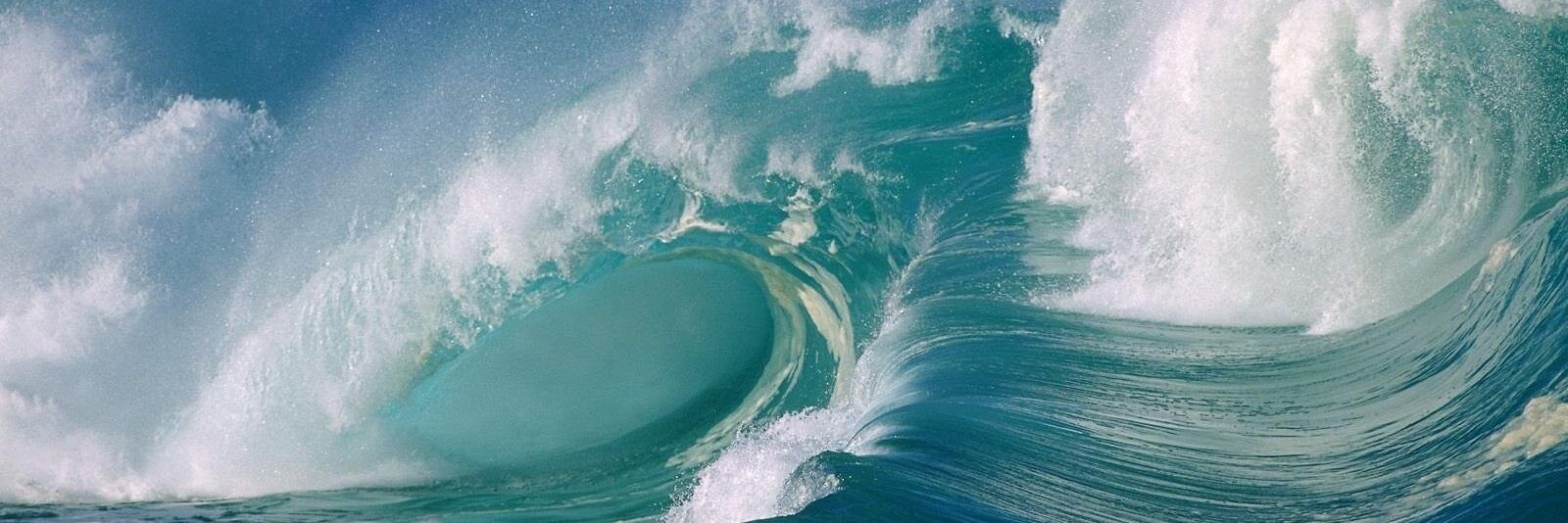 Laura Reed Goodson banner