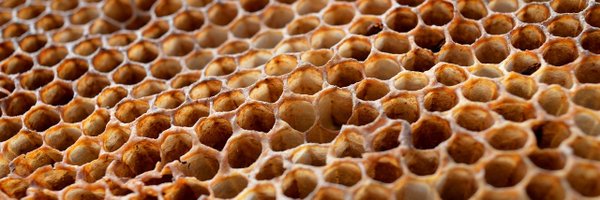 Jblotsky Profile Banner