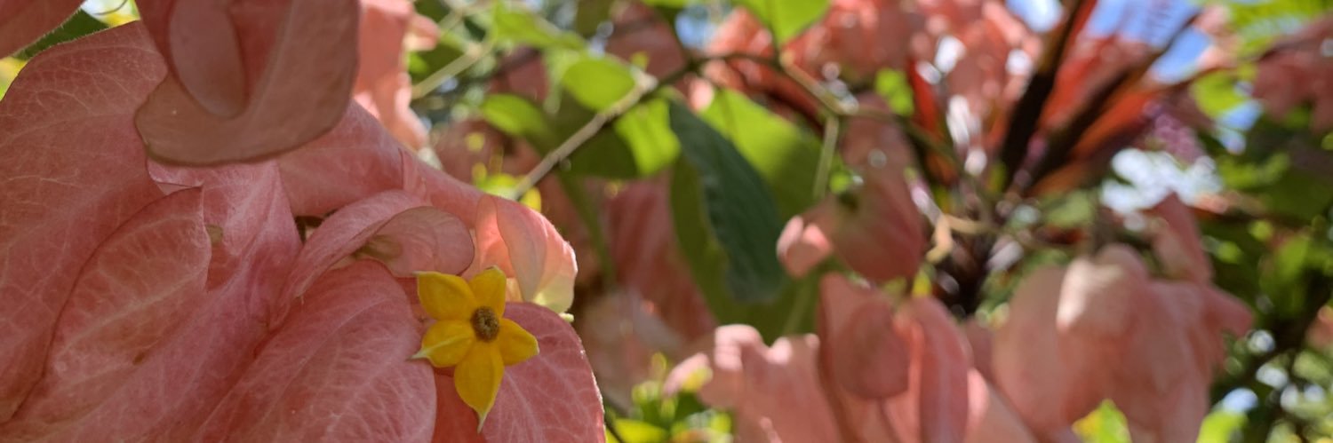 mack_321's profile banner image