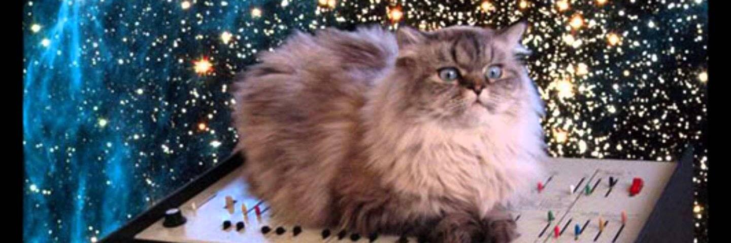 ᥴꪖᦓꫀꪗ 🇺🇸 banner