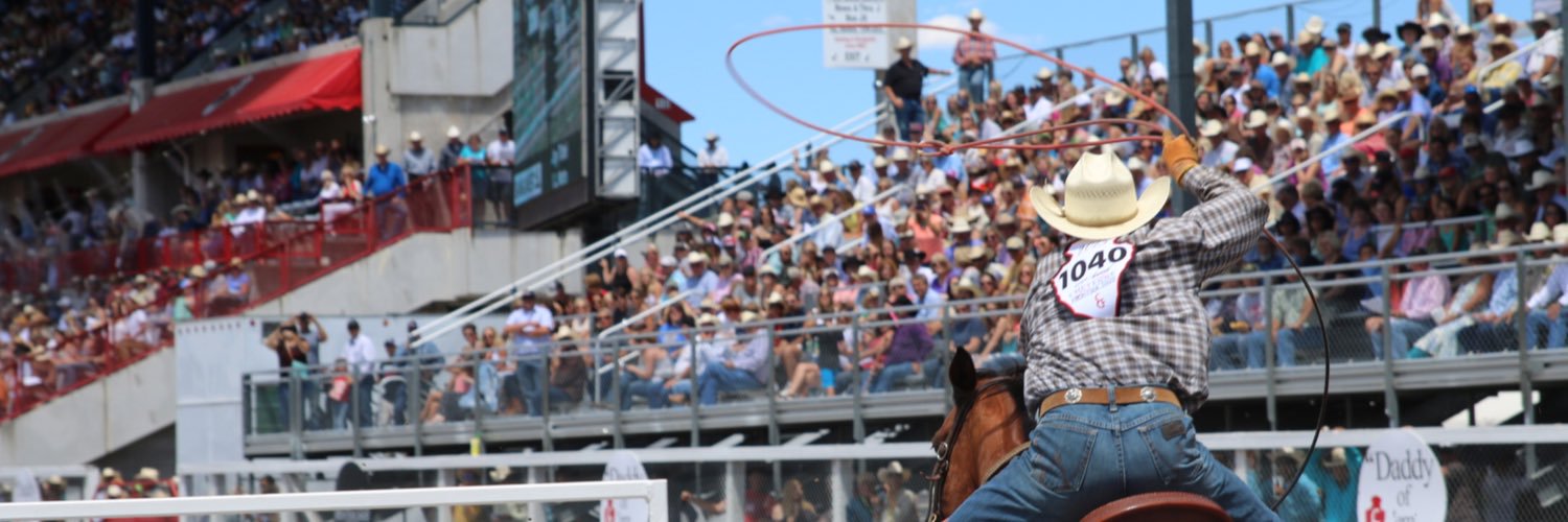 Team Roping Journal banner