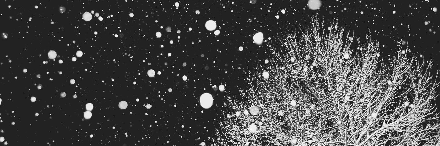 returnthisway's profile banner image