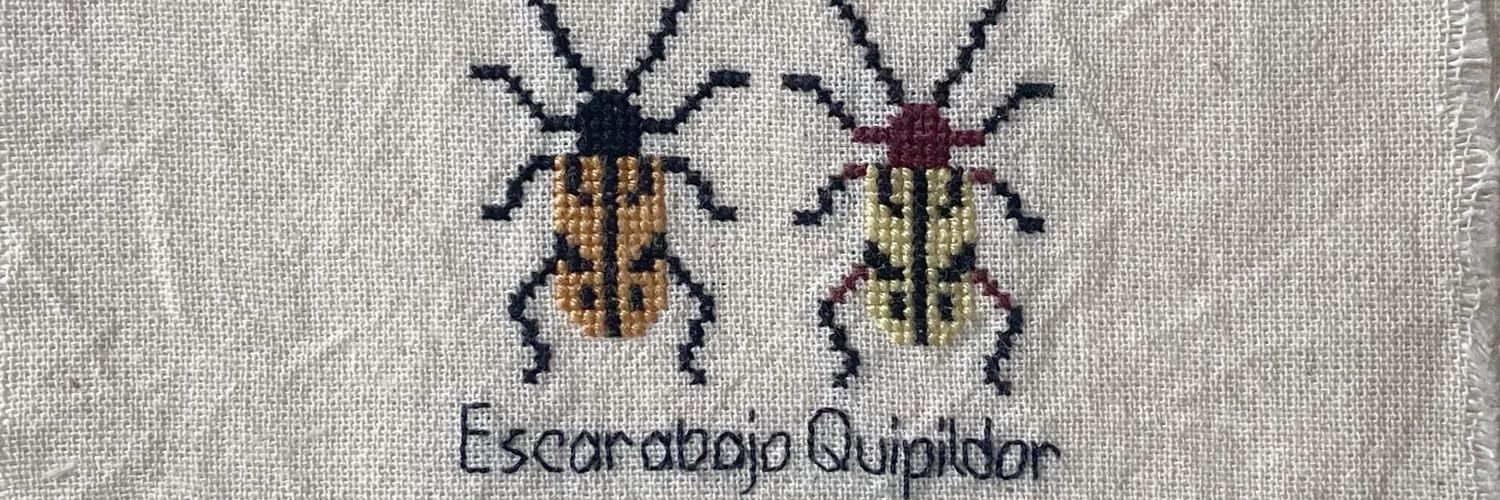 SoolQuipildor's profile banner image