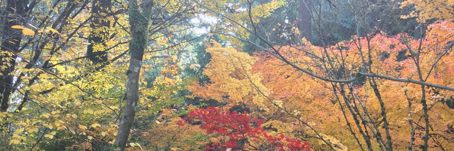 TweetMeghTweet's profile banner image