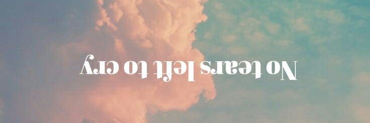 alinne_drp's profile banner image