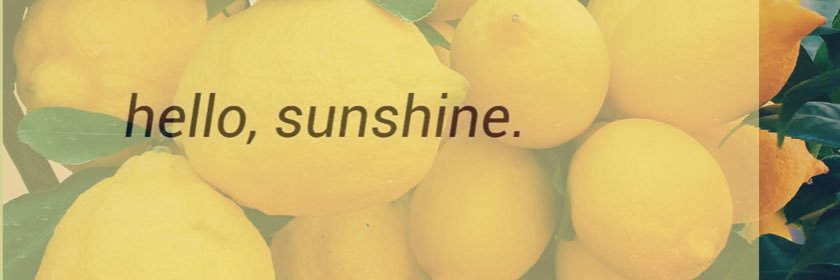 ToraasonMolly's profile banner image