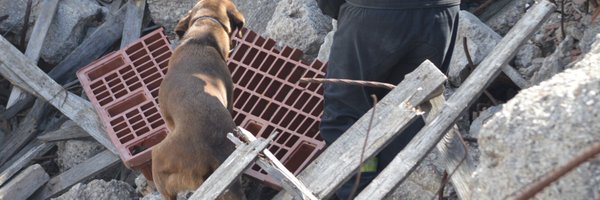 ONGIAE Profile Banner