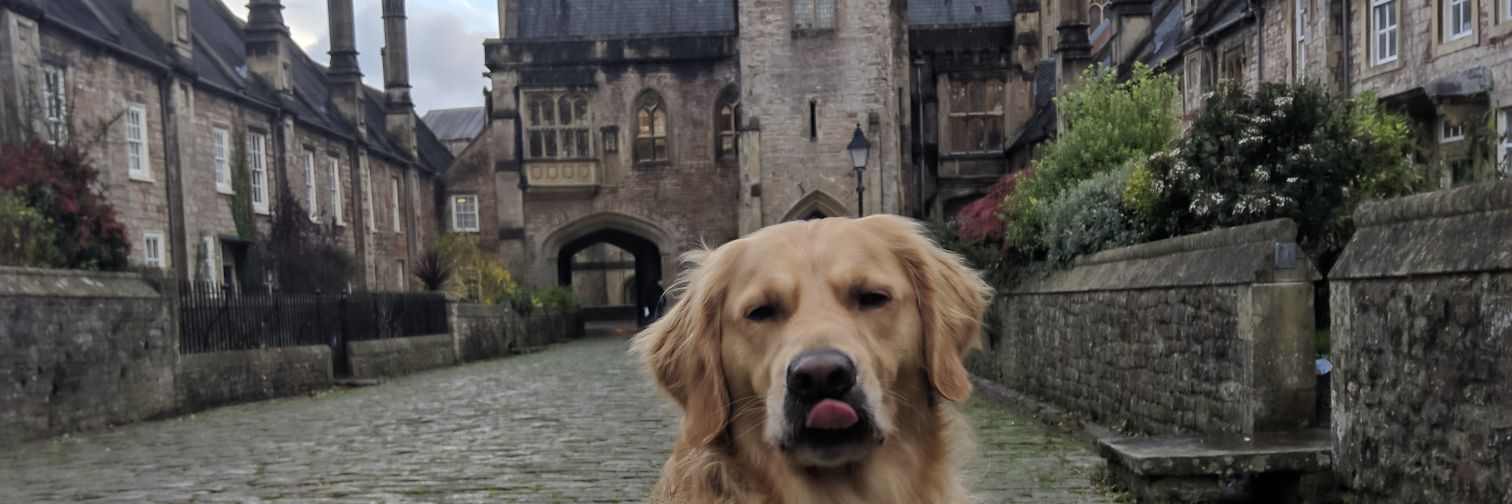 LukeisPro's profile banner image