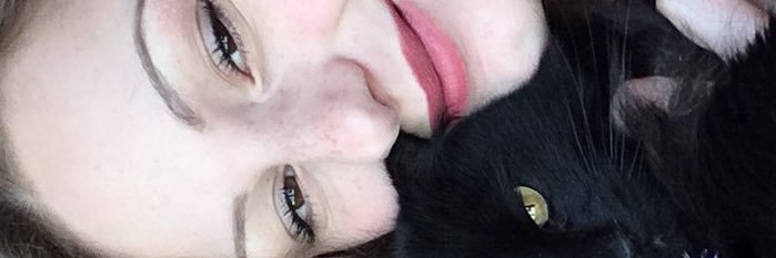beefriot's profile banner image