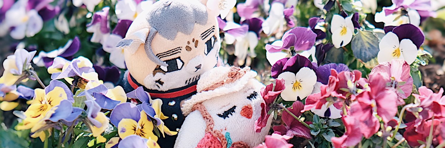 liccomin's profile banner image