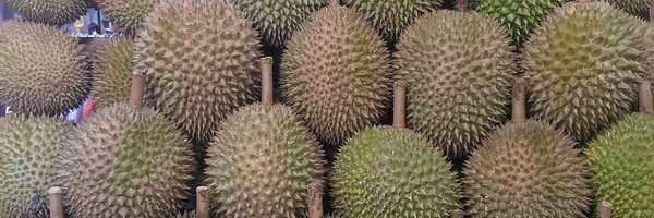 shortdiv Profile Banner