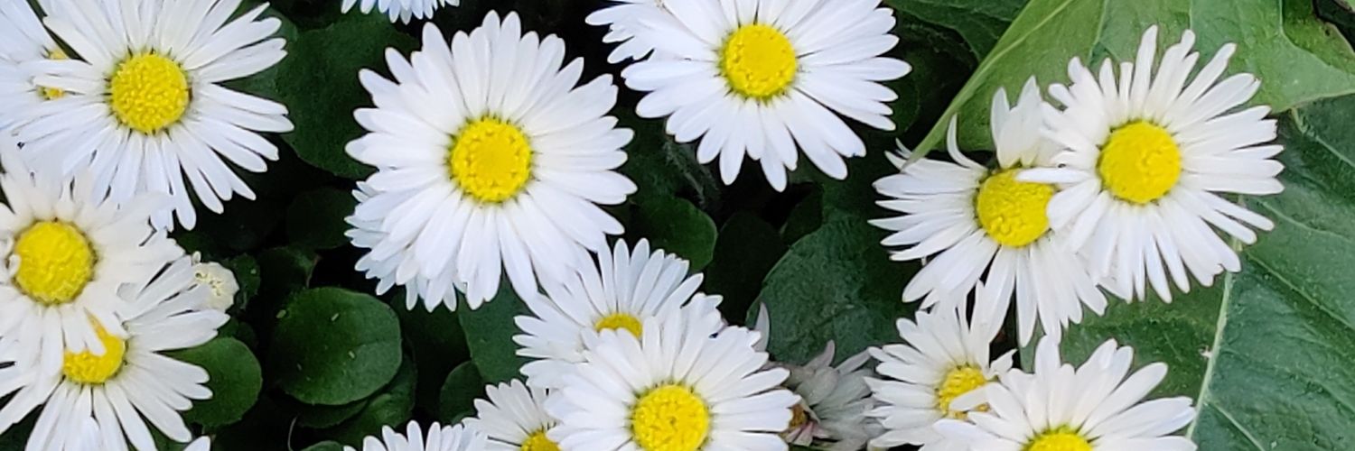 karen93cc's profile banner image