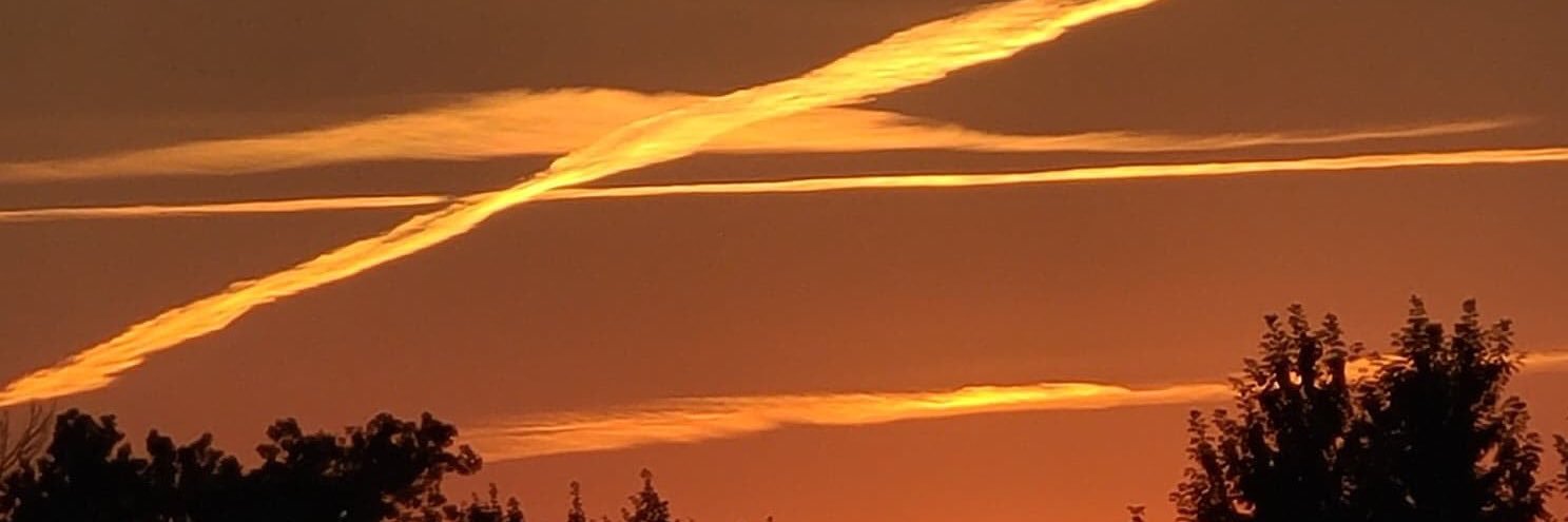 lischos's profile banner image