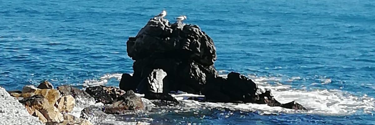 superful's profile banner image