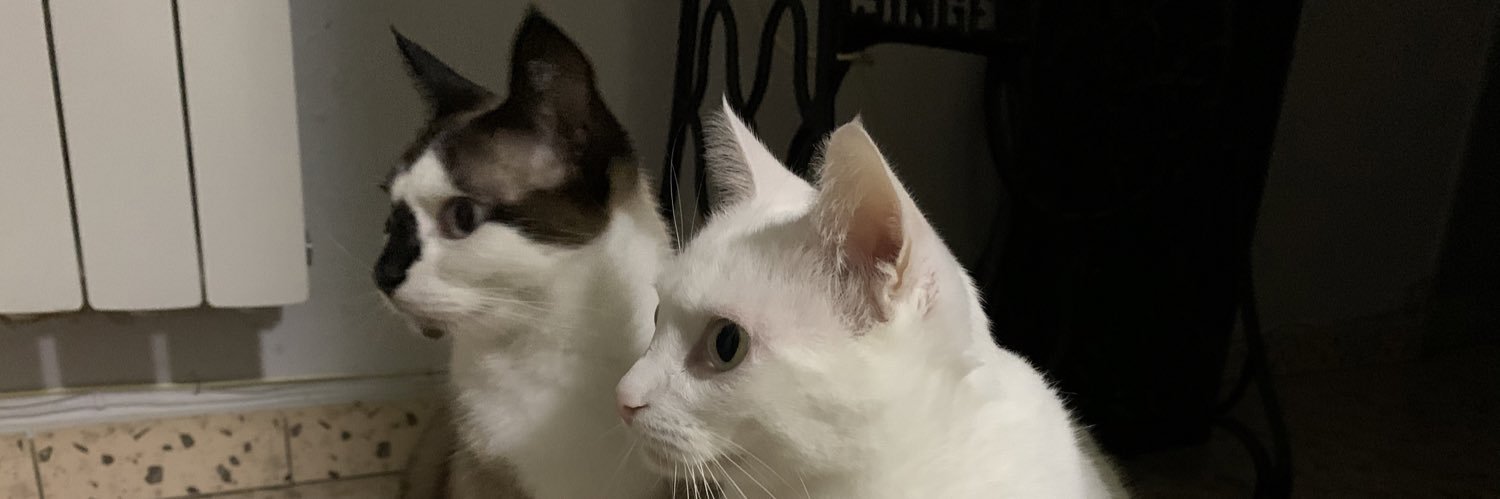 Docis's profile banner image