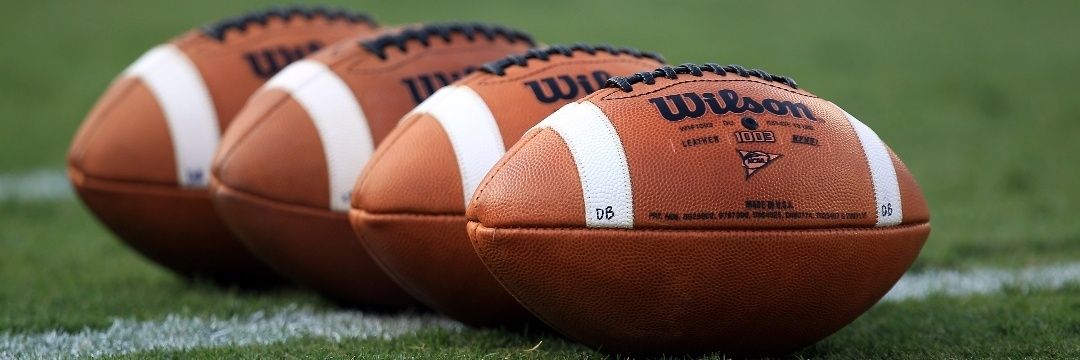 Dr. L.F. Holly banner