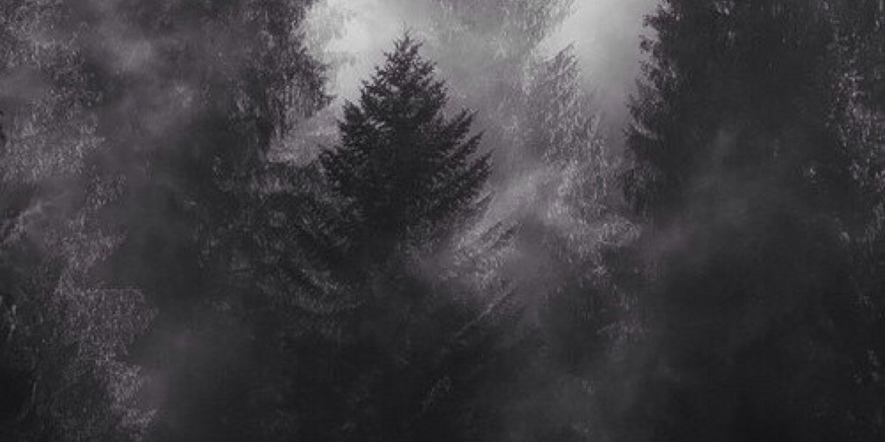 niageb's profile banner image
