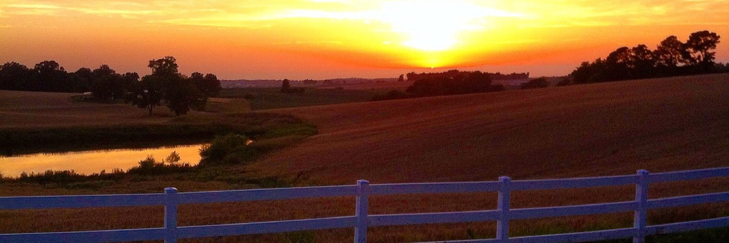 WendiLimbaugh's profile banner image