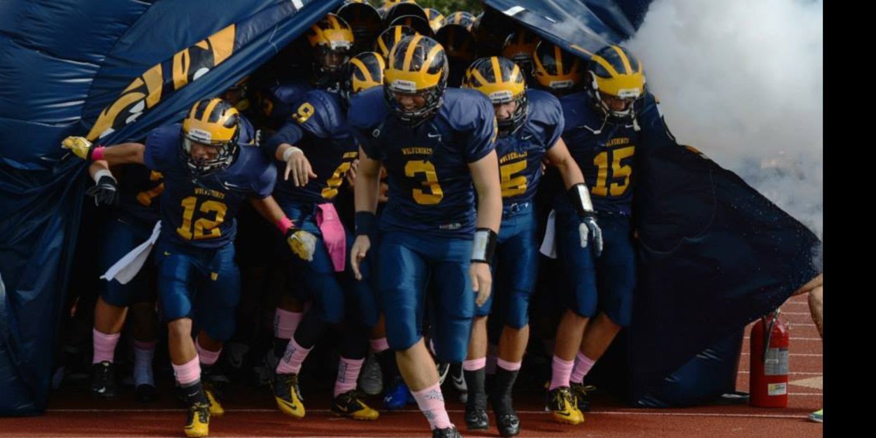 NavarroAlex4's profile banner image