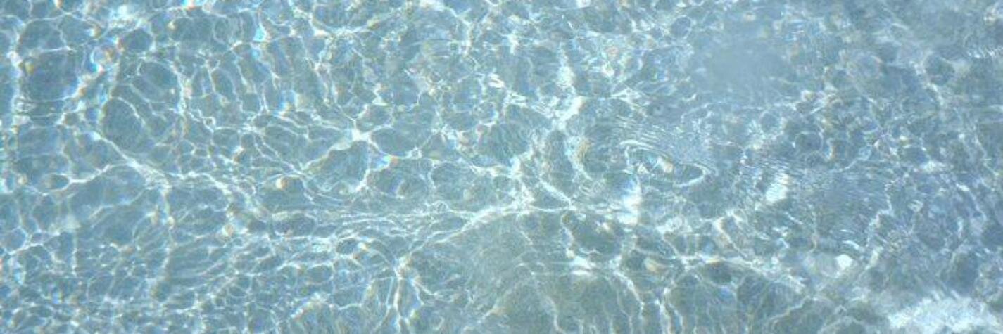 Lavedae's profile banner image