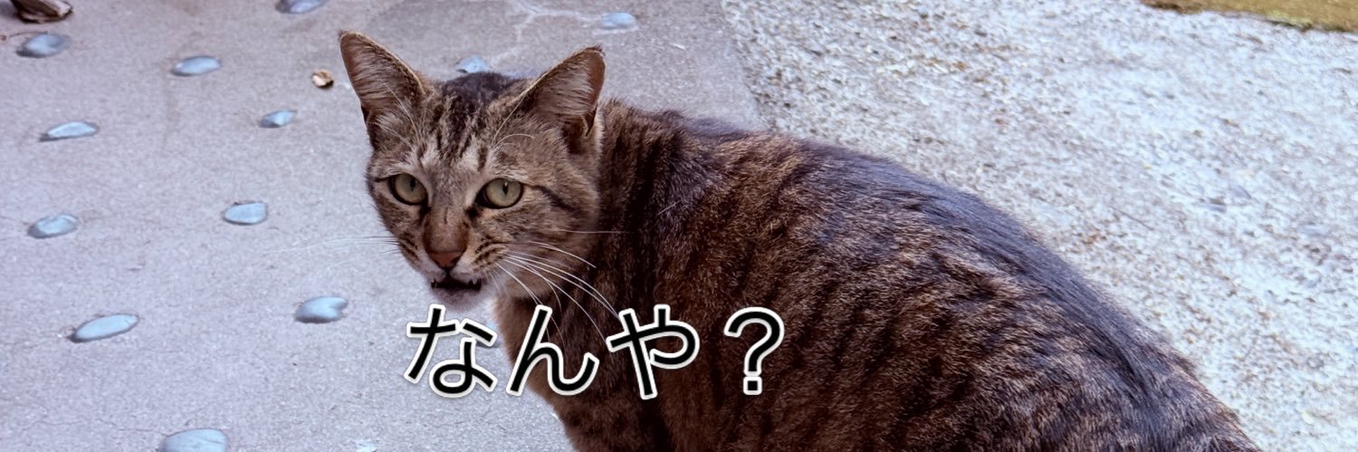 arashima's profile banner image