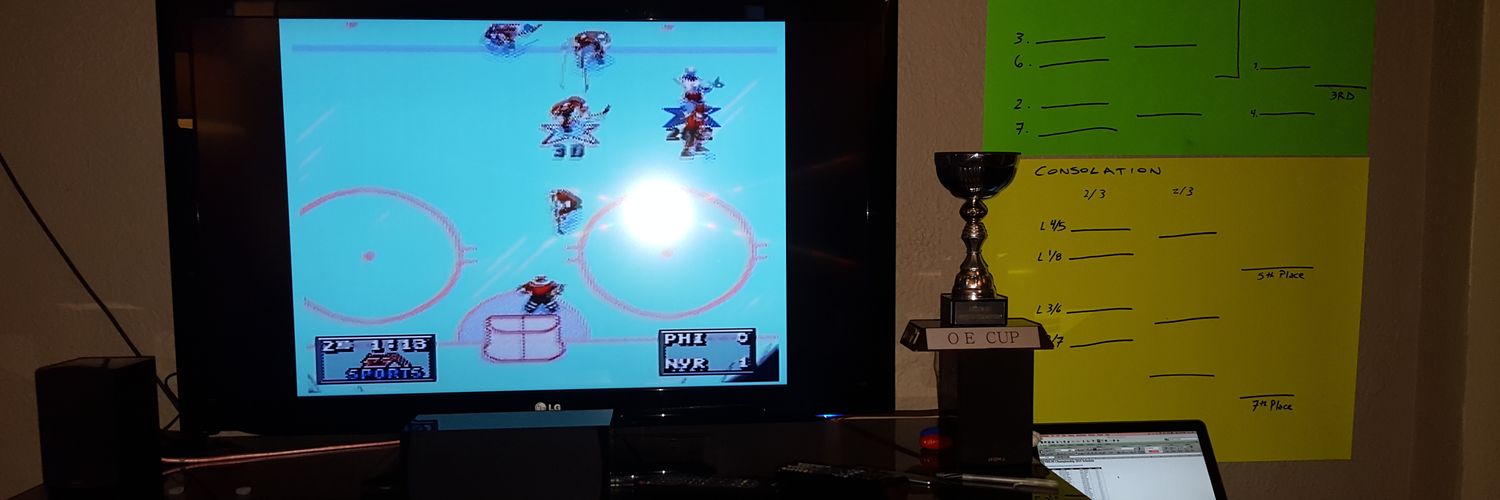 NHL 95 championships banner
