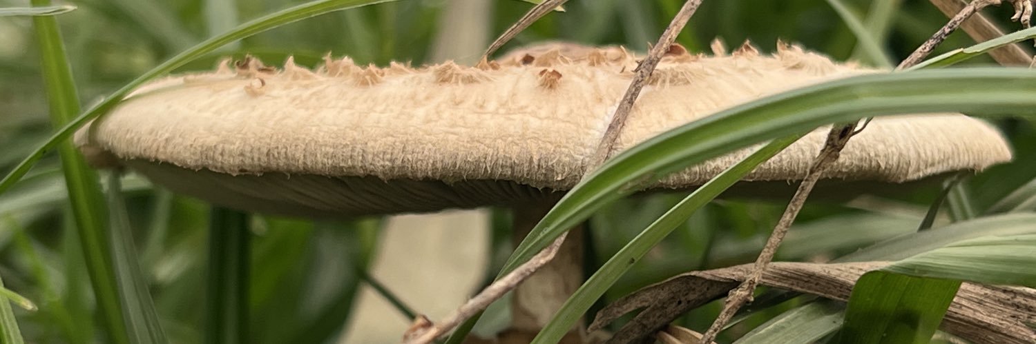 Lorena Ramírez-Restrepo banner