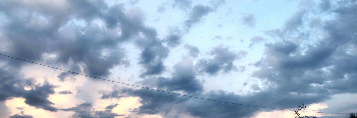 emillyhogan's profile banner image