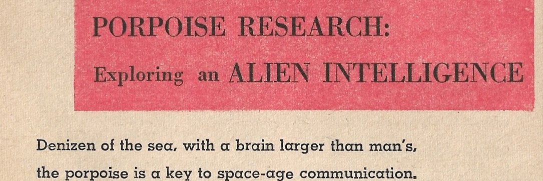 remedial mathcore banner