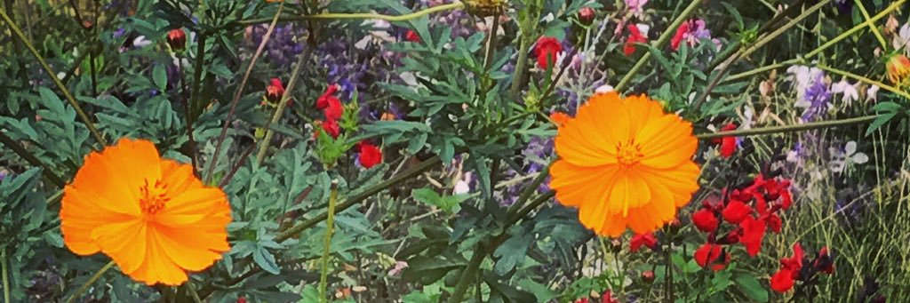 TalkAlotKim's profile banner image