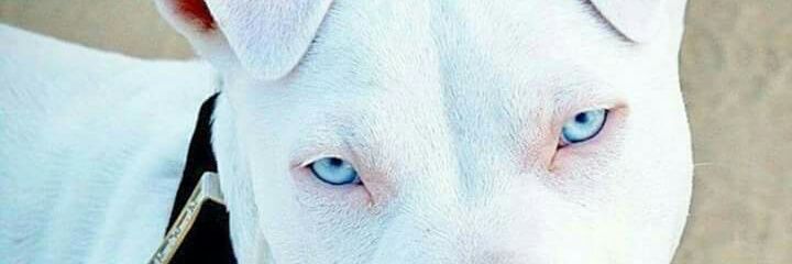 javipro62's profile banner image
