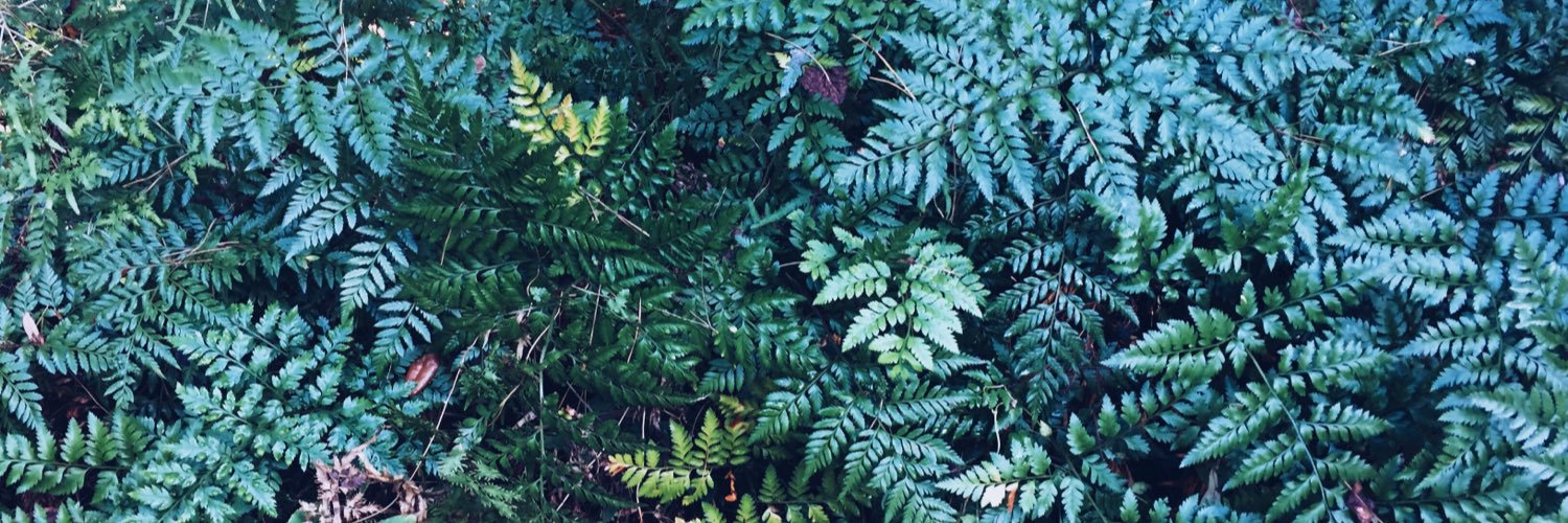 Erica Lane Frith banner