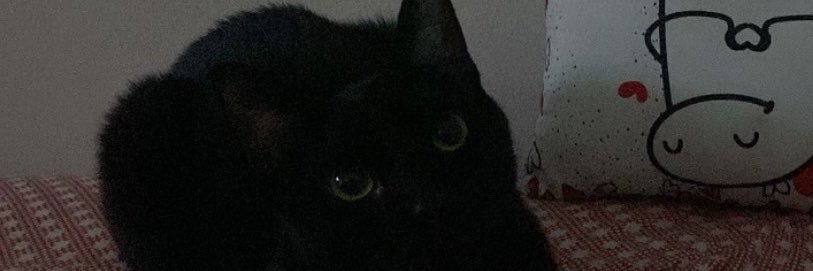 queijoaaa's profile banner image