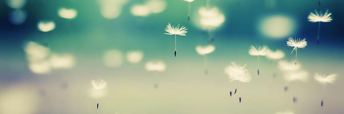 ari_dell's profile banner image