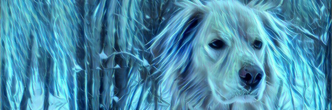 Birdy82176's profile banner image