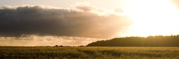 alex_kamsteeg Profile Banner