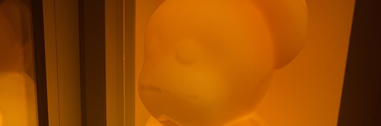diddelbs's profile banner image