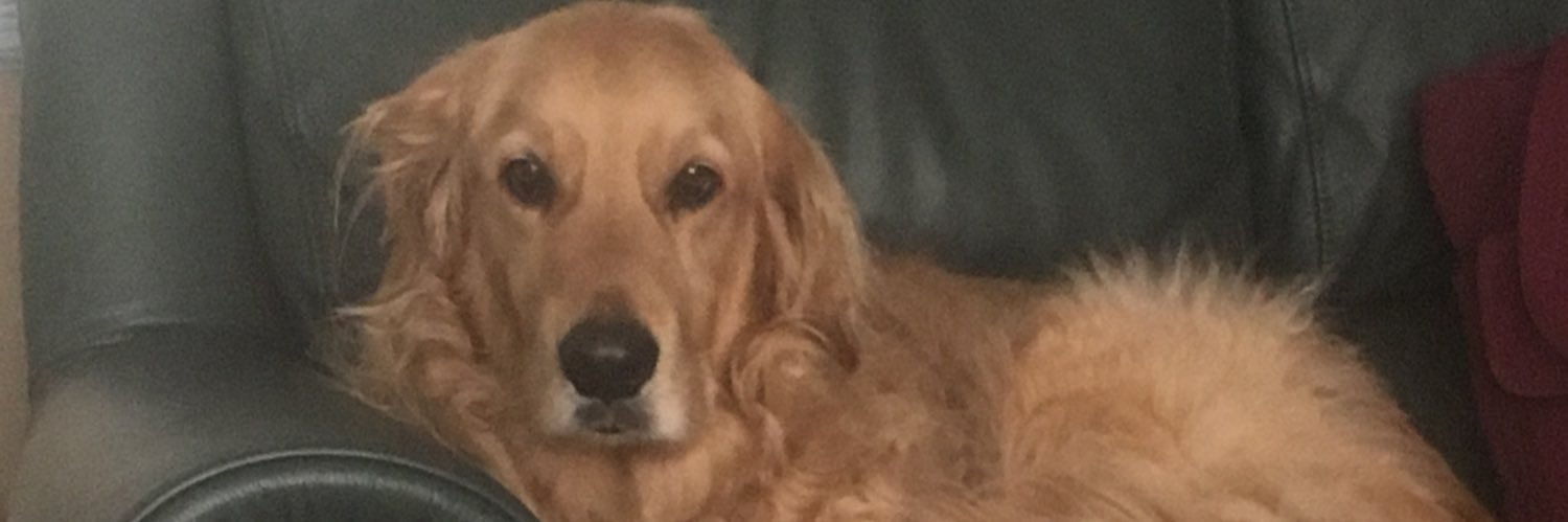 Austin Darrow banner