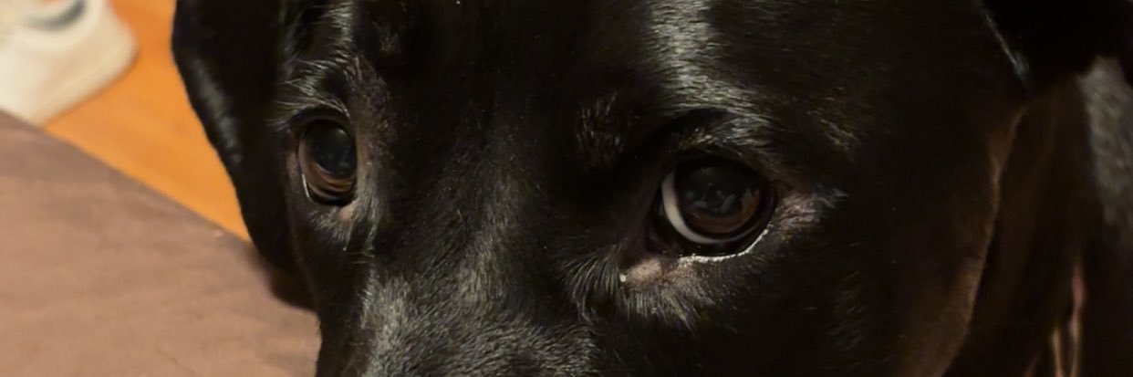 heeyabbss's profile banner image